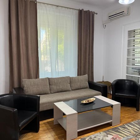 Apartament Victoria 蒂米什瓦拉 外观 照片