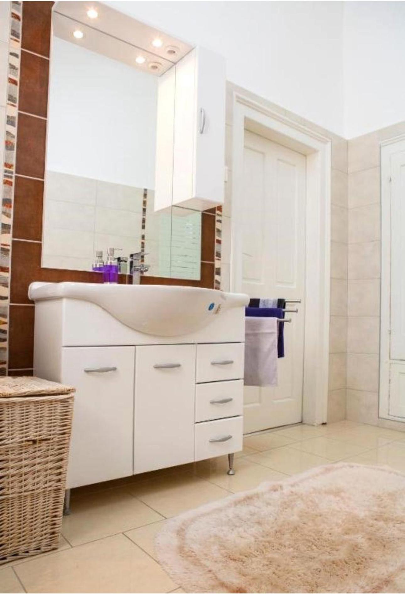 Apartament Victoria 蒂米什瓦拉 外观 照片