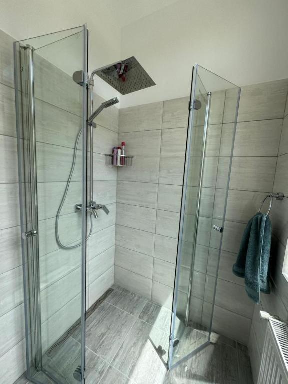 Apartament Victoria 蒂米什瓦拉 外观 照片