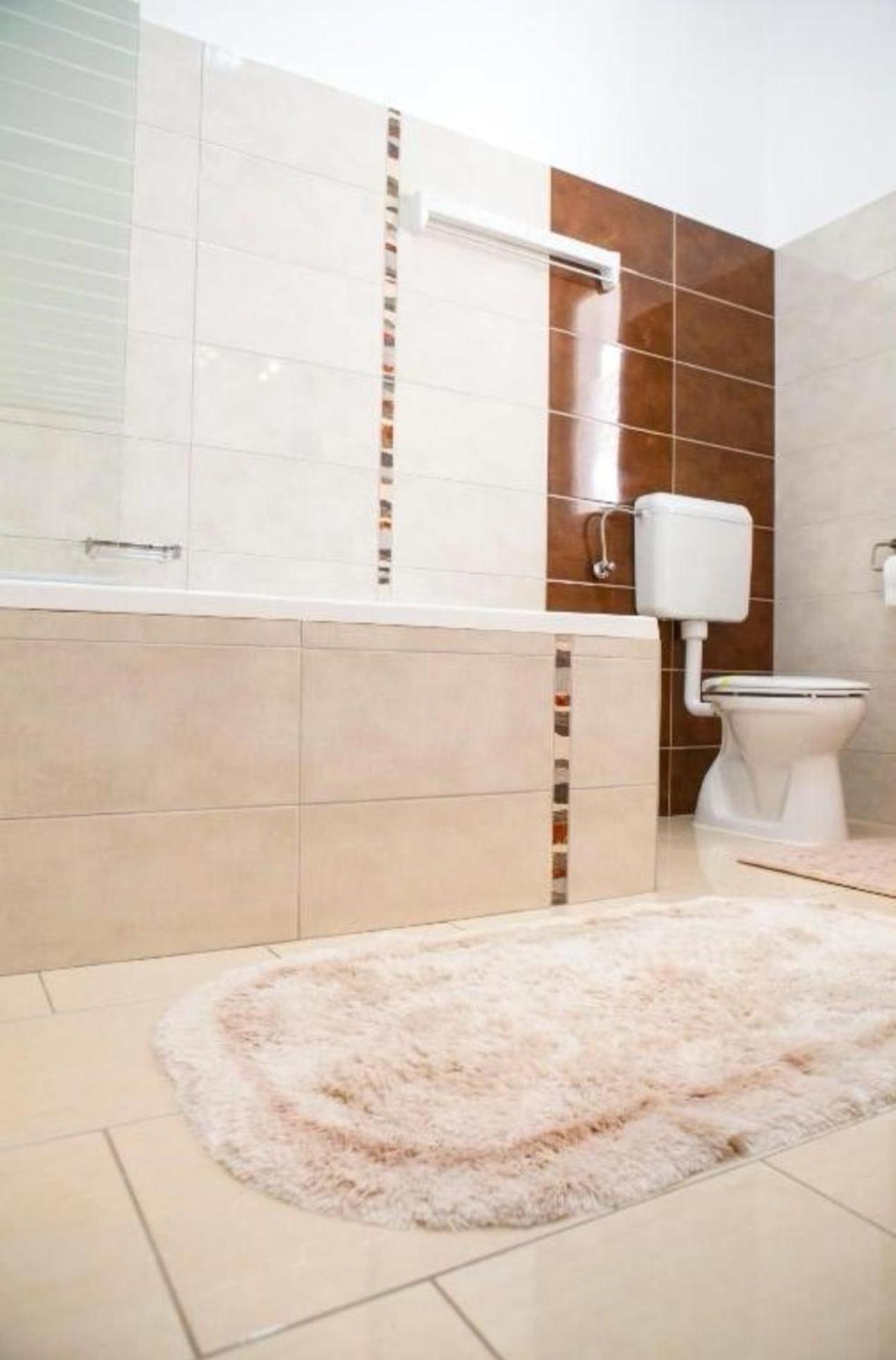 Apartament Victoria 蒂米什瓦拉 外观 照片