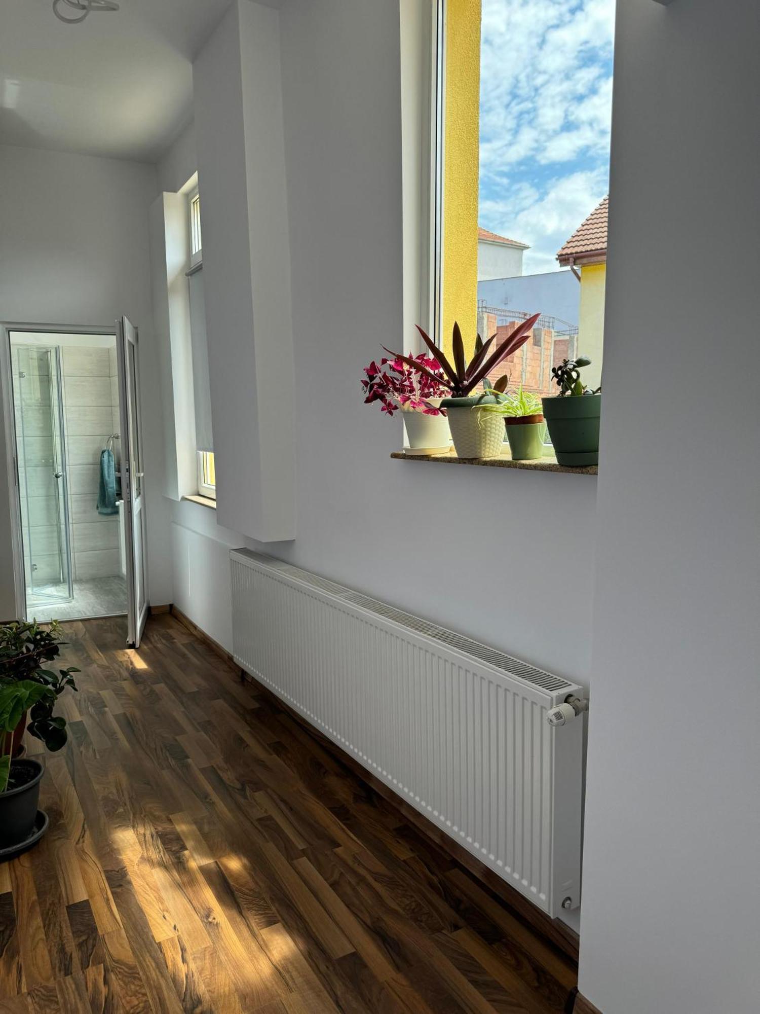 Apartament Victoria 蒂米什瓦拉 外观 照片