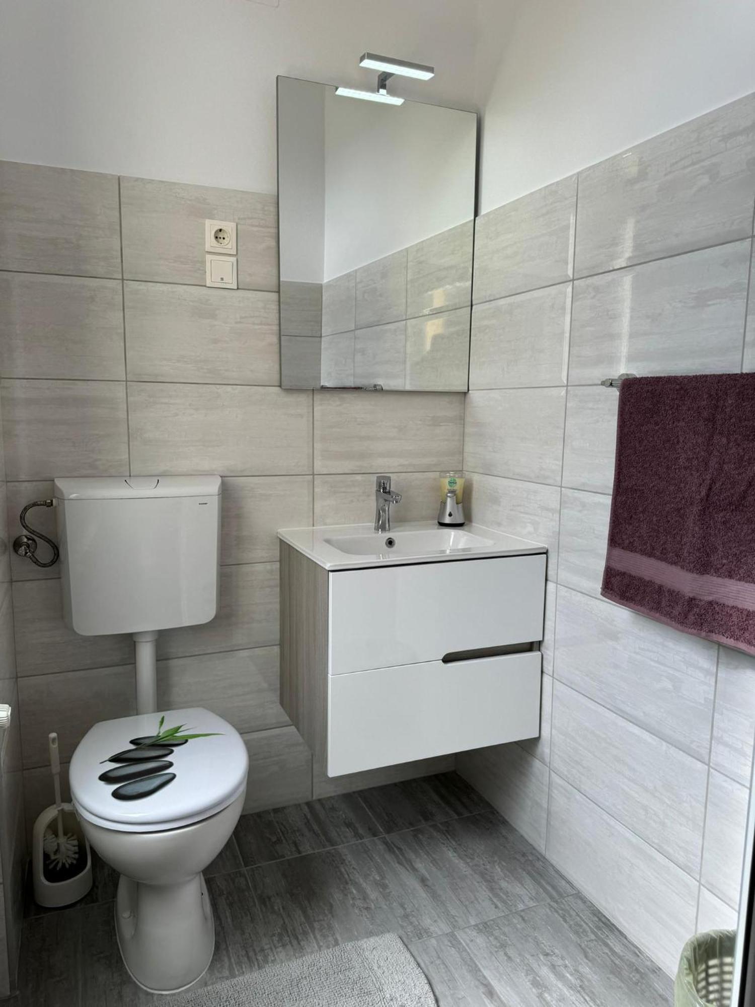 Apartament Victoria 蒂米什瓦拉 外观 照片
