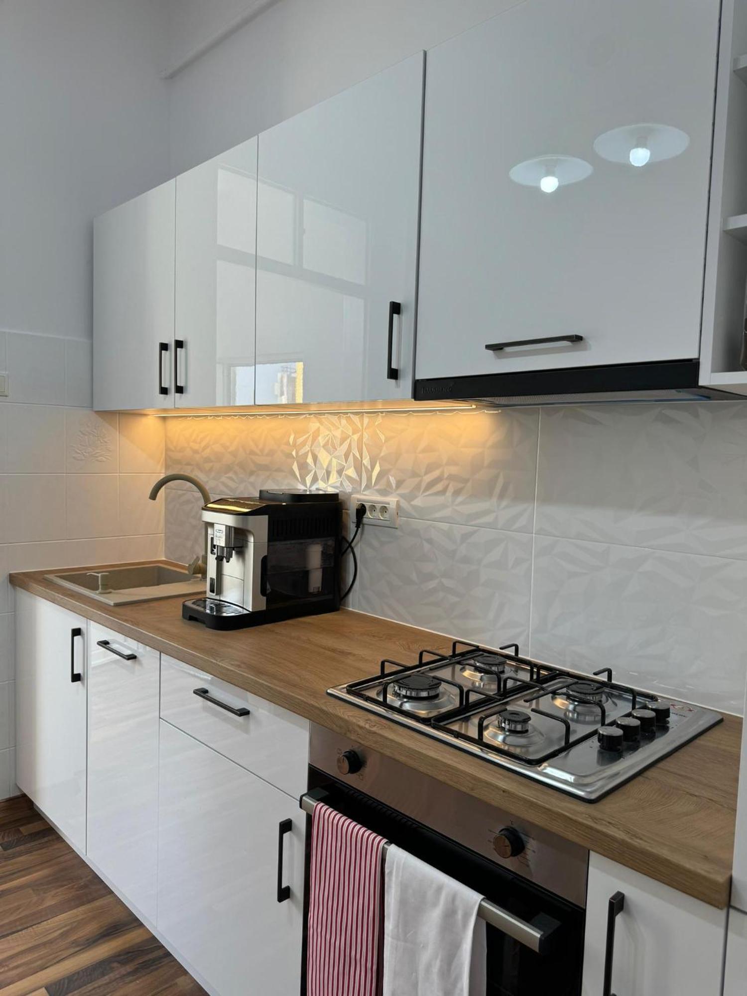 Apartament Victoria 蒂米什瓦拉 外观 照片