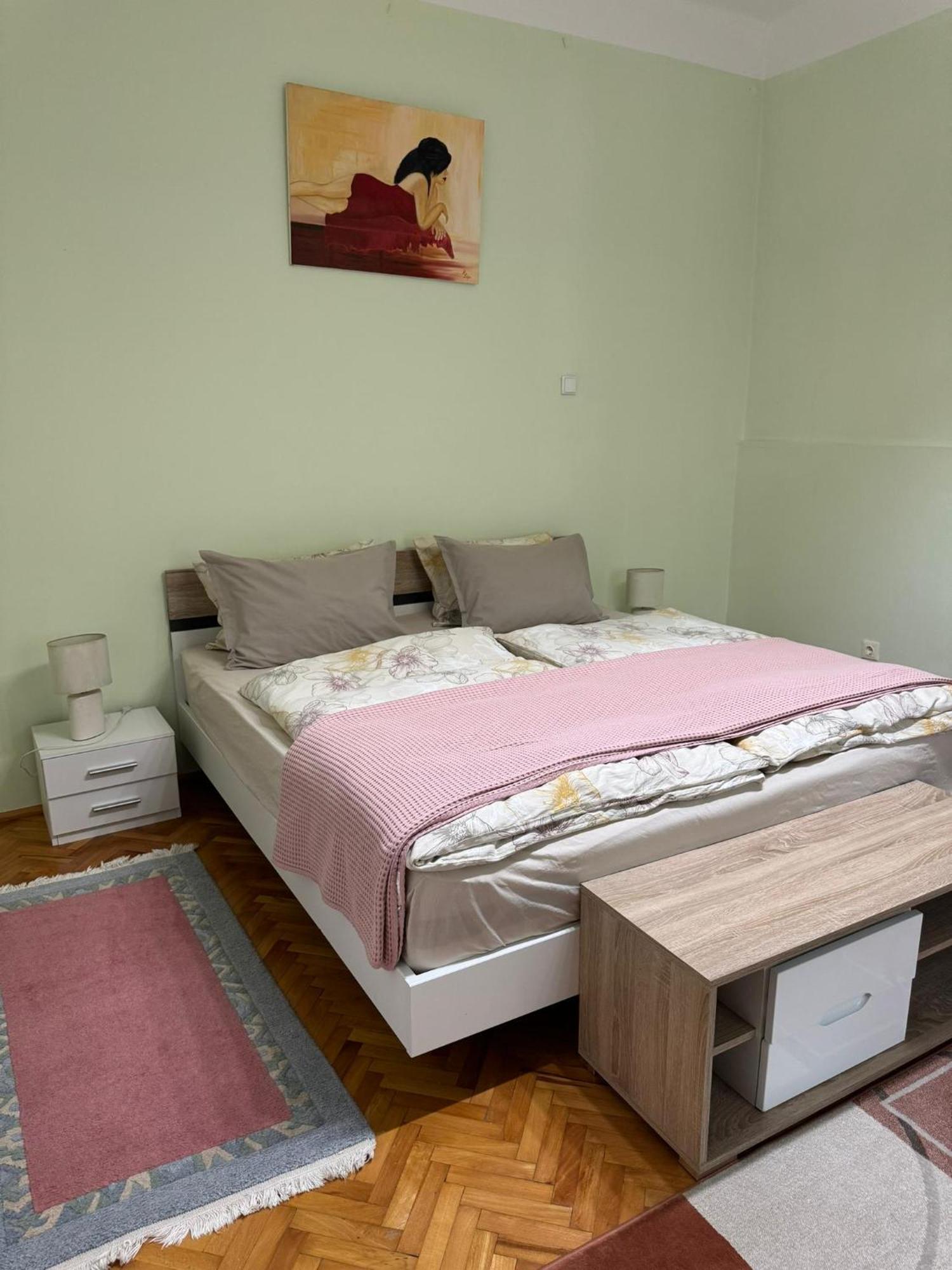 Apartament Victoria 蒂米什瓦拉 外观 照片