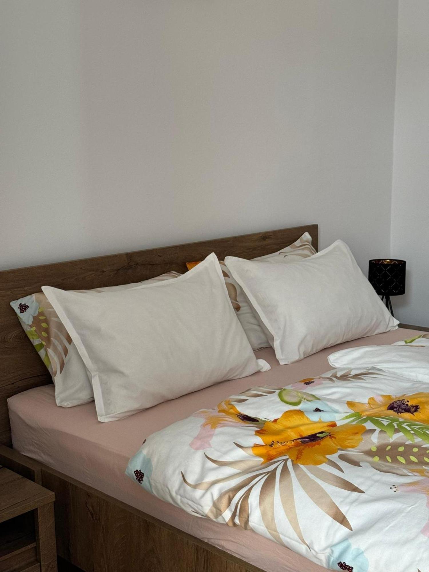 Apartament Victoria 蒂米什瓦拉 外观 照片