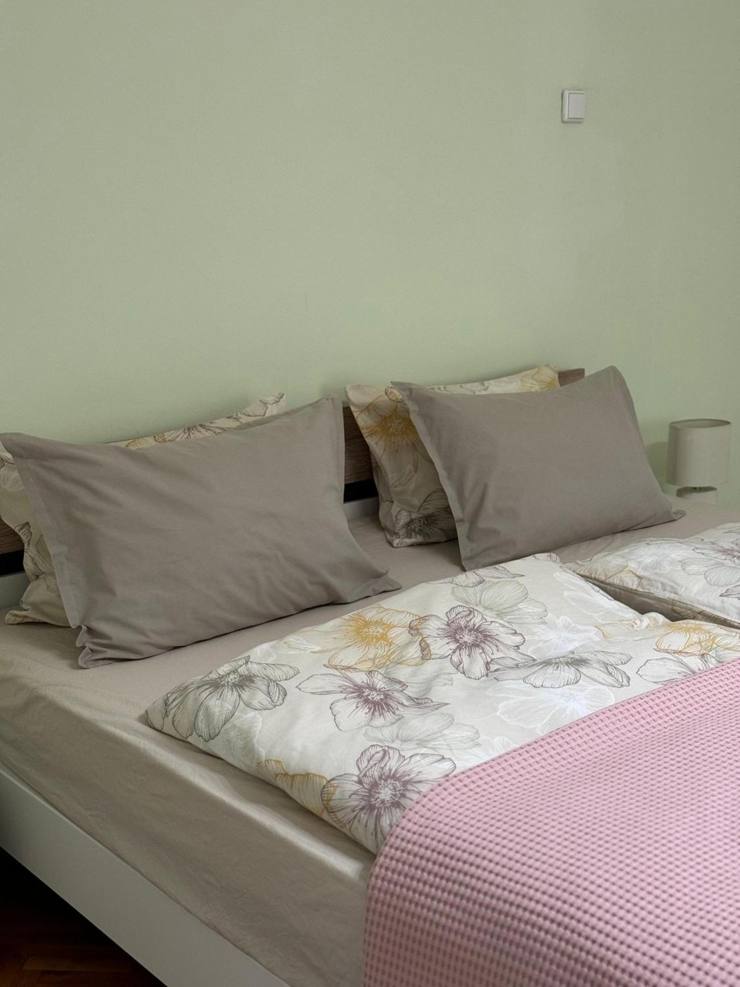 Apartament Victoria 蒂米什瓦拉 外观 照片