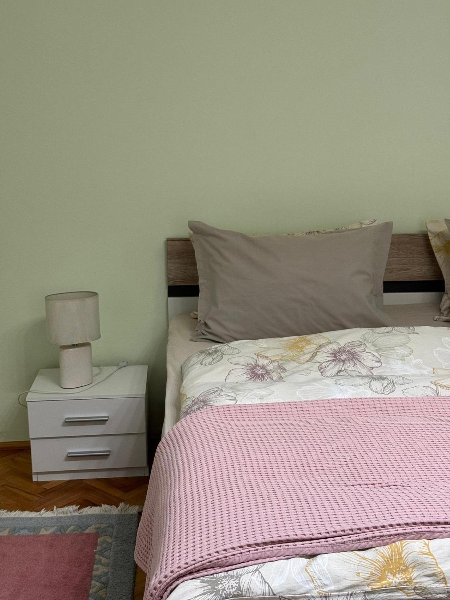 Apartament Victoria 蒂米什瓦拉 外观 照片