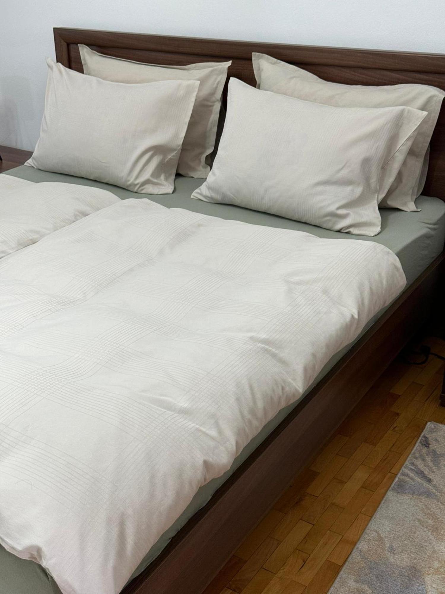 Apartament Victoria 蒂米什瓦拉 外观 照片