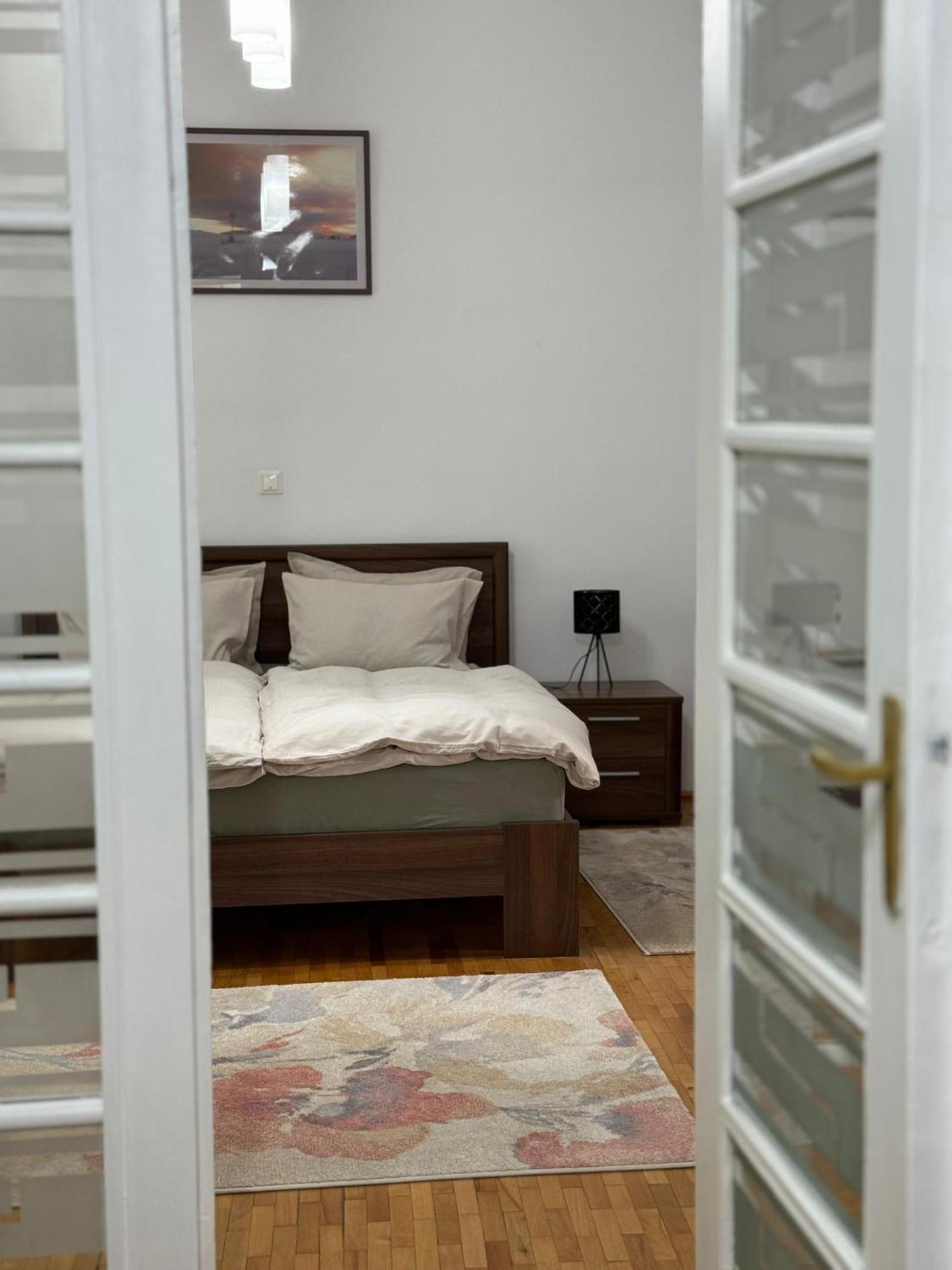 Apartament Victoria 蒂米什瓦拉 外观 照片
